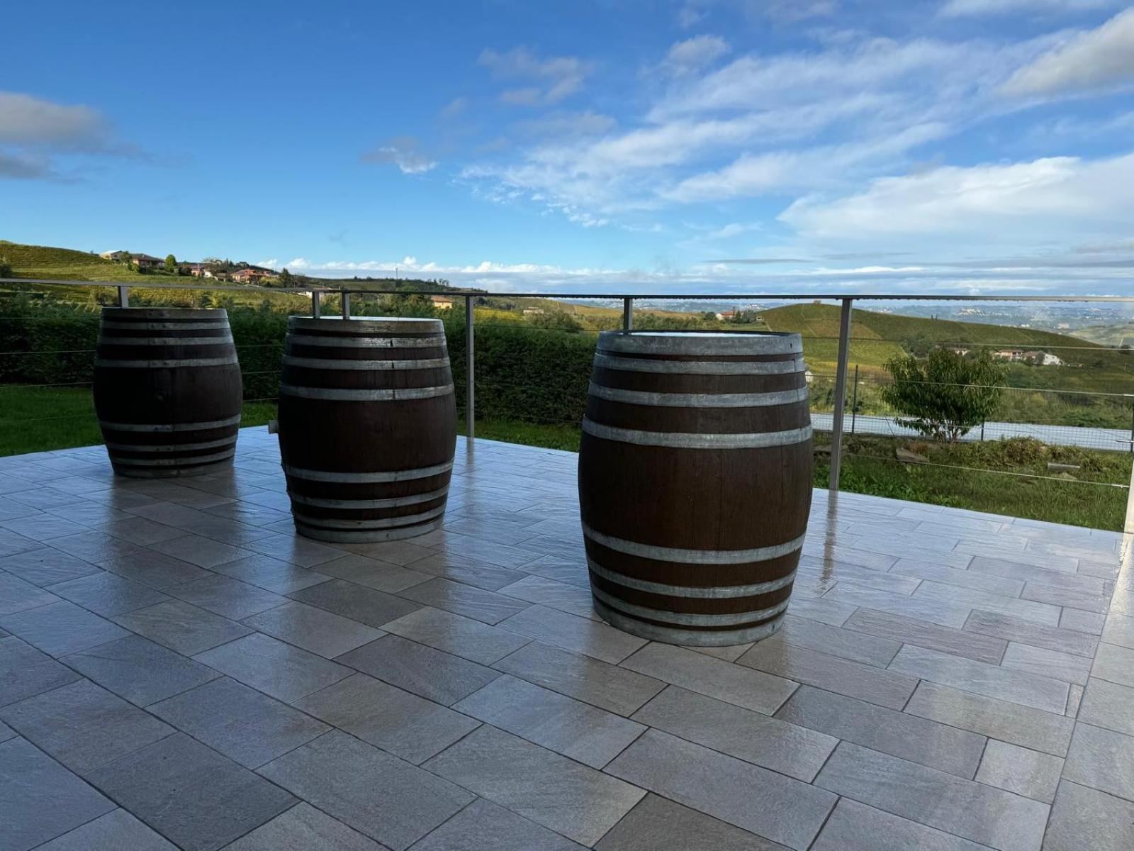 Villa Barbero Alba Langhe Манго Экстерьер фото