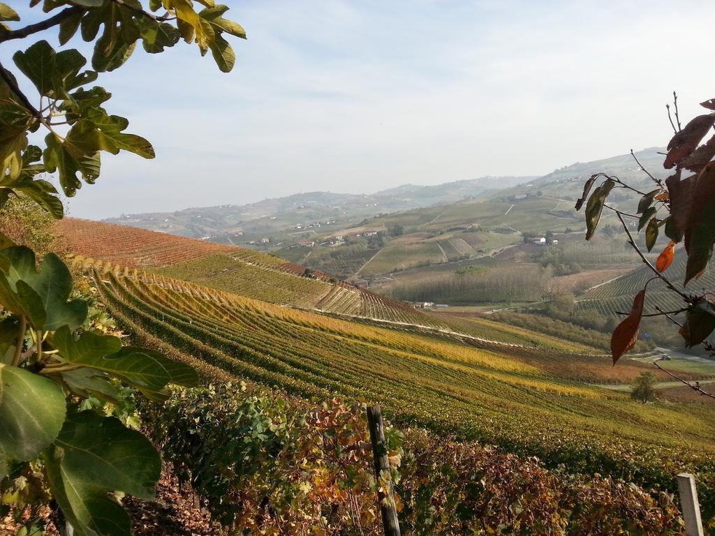 Villa Barbero Alba Langhe Манго Экстерьер фото